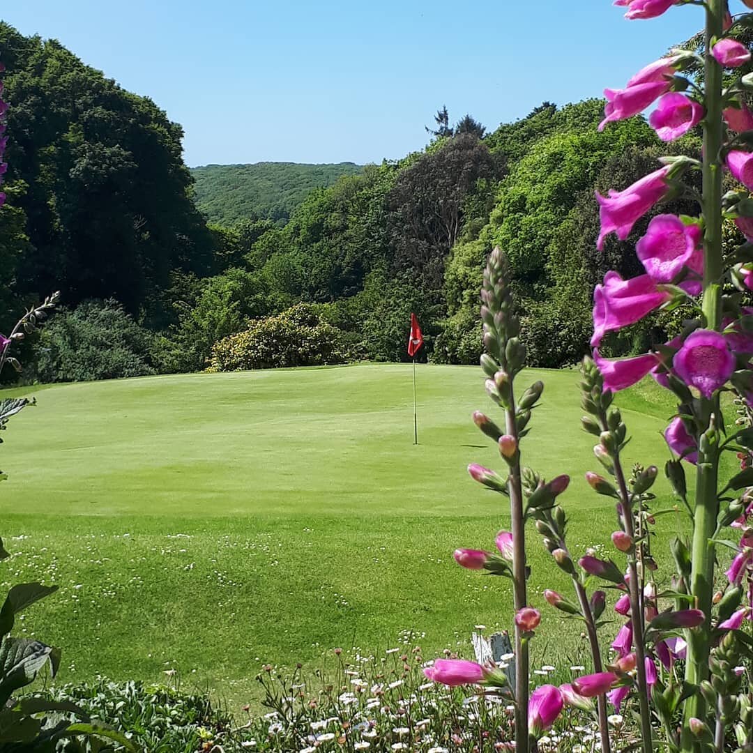 Budock Vean - Monthly hole sponsorship